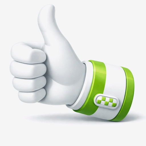 Опытный водитель